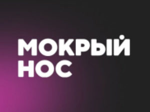 Франшиза Мокрый нос