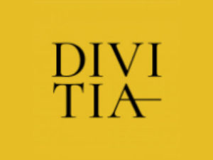 Франшиза DIVITIA
