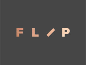 Франшиза Flip