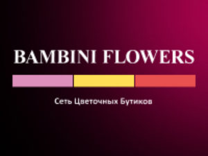 Франшиза Bambini Flowers