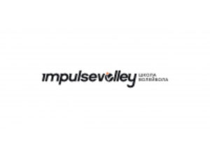 Франшиза ImpulseVolley