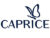 Франшиза Caprice: Магазины женской обуви