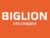 Франшиза Biglion: Купонный сервис
