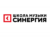 Франшиза Synergy Music School: Альтернативная музыкальная школа для детей и взрослых