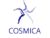 Франшиза COSMICA: Предоставление спортивно-развлекательных услуг