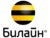 Франшиза Билайн: Телекоммуникационная компания