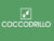 Франшиза Coccodrillo: Польский бренд детской одежды
