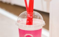 Франшиза Gelateria PLOMBIR: Итальянские кафе-мороженое