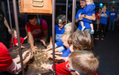 золотохранилище