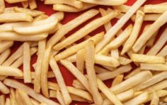 Франшиза FREE&CO: Fast food по системе freemium