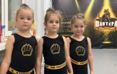 Франшиза Пантера: Спортивно-танцевальный клуб