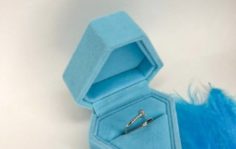 Франшиза Fine Silver: Сеть магазинов по продаже ювелирной продукции из серебра и золота