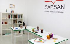 Франшиза SAPSAN: Школа развития интеллекта