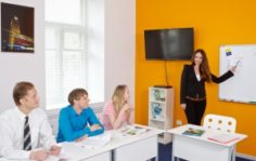 Франшиза Language Link: Школа английского языка
