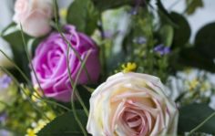 Франшиза TERRAFIORI: Магазин имитаций живых цветов