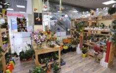Франшиза Мистер Флористер: Цветочный магазин