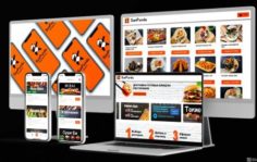 Франшиза SunPanda: Сеть сервисов доставки еды