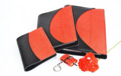 Франшиза Fish Skin Leather: Производство рыбьих кож