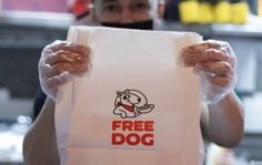 Франшиза FREE&CO: Fast food по системе freemium
