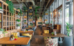 Франшиза Osteria Mario: Итальянский ресторан