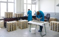 Франшиза ЛЕПА: Продажа трогательного песка