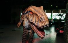 Франшиза Остров Discovery: Премиальное игровое квест-шоу