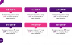 Франшиза SkillMP: Бизнес на Wildberries и других маркетплейсах
