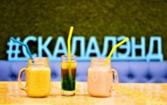 Франшиза Скалалэнд: Сеть семейных развлекательных комплексов