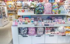 Франшиза SWEET CAT SHOP: Бренд яркой канцелярии