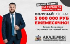Франшиза Академия Аукционных Брокеров: Электронные торги