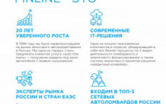 Кратко про Finline-Автозайм