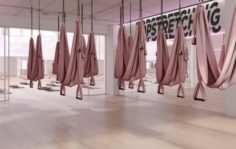 Франшиза TOPSTRETCHING™: Международная сеть студий растяжки и фитнеса
