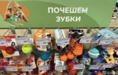 Франшиза Бетховен: Зоомагазин