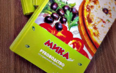Франшиза МИКАfood: Пиццерия