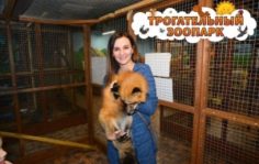 Франшиза Трогательный зоопарк: Контактный зоопарк