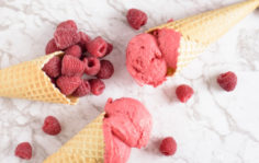 Франшиза ICECRO: Натуральное мороженое на любой вкус