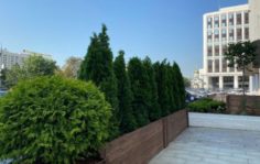 Франшиза ALC-GROUP: Архитектурно-ландшафтный центр