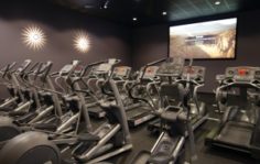 Франшиза Gold’s Gym: Фитнес-клуб