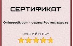 Франшиза Растем вместе: Мобильное приложение для школ и детских садов