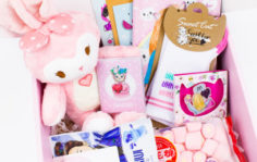 Франшиза SWEET CAT SHOP: Бренд яркой канцелярии