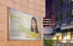 Франшиза CleanWell: Клининг