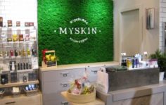 Франшиза MYSKIN: Корейская косметика