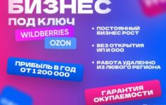 Франшиза SkillMP: Бизнес на Wildberries и других маркетплейсах