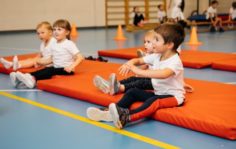 Франшиза GYMCHEL: Федерация Гимнастики