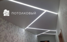 Франшиза Потолковый