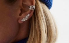 Франшиза Fine Silver: Сеть магазинов по продаже ювелирной продукции из серебра и золота
