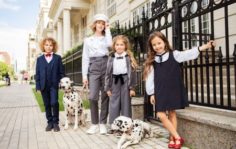 Франшиза CHOUPETTE: Товары для детей и новорожденных
