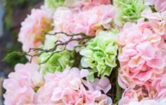Франшиза TERRAFIORI: Магазин имитаций живых цветов
