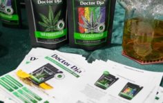 Франшиза Doctor Dja