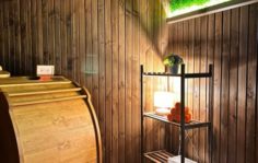 Франшиза Алтайская здравница: Первый Таёжный SPA в России